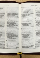 Библия 067ZTI совр русск перевод, бордовый
